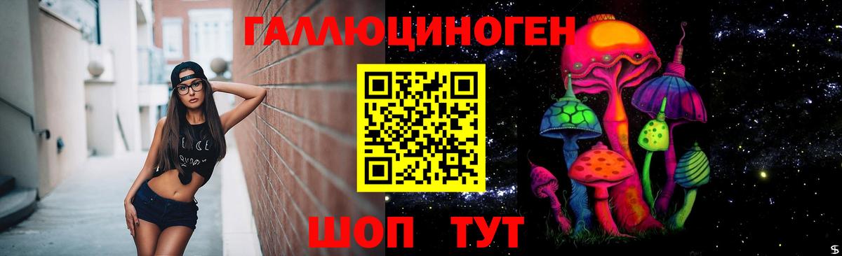 Псилоцибиновые грибы Psilocybine cubensis Фролово